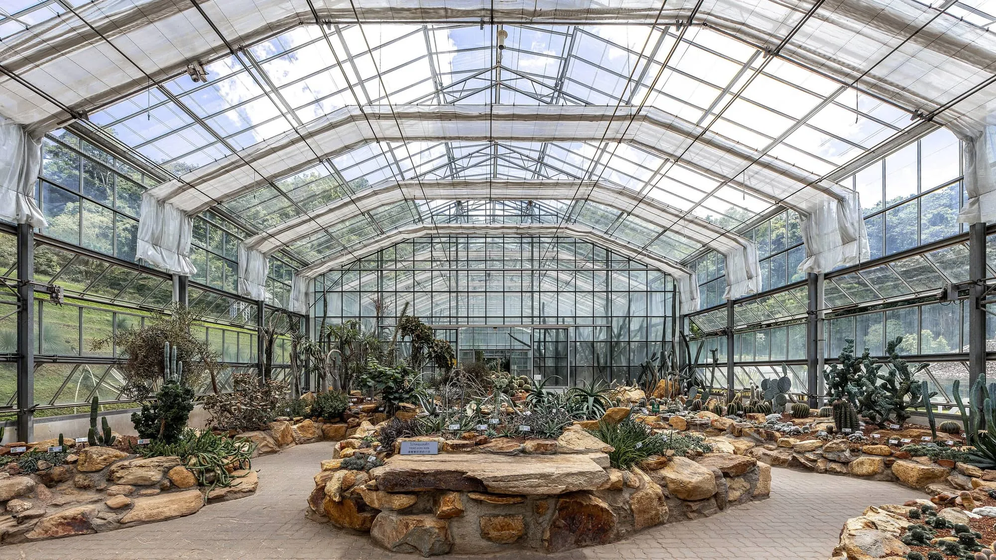 Plants inside the glasshouse at the Queen Sirikit Botanic Garden
