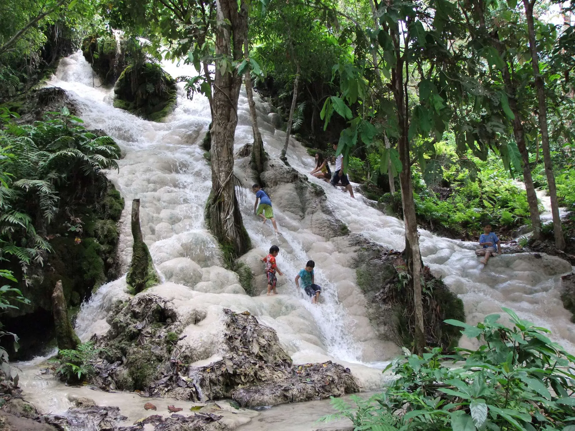 Bua Tong sticky waterfall flowing over pale limestone rocks in the forest