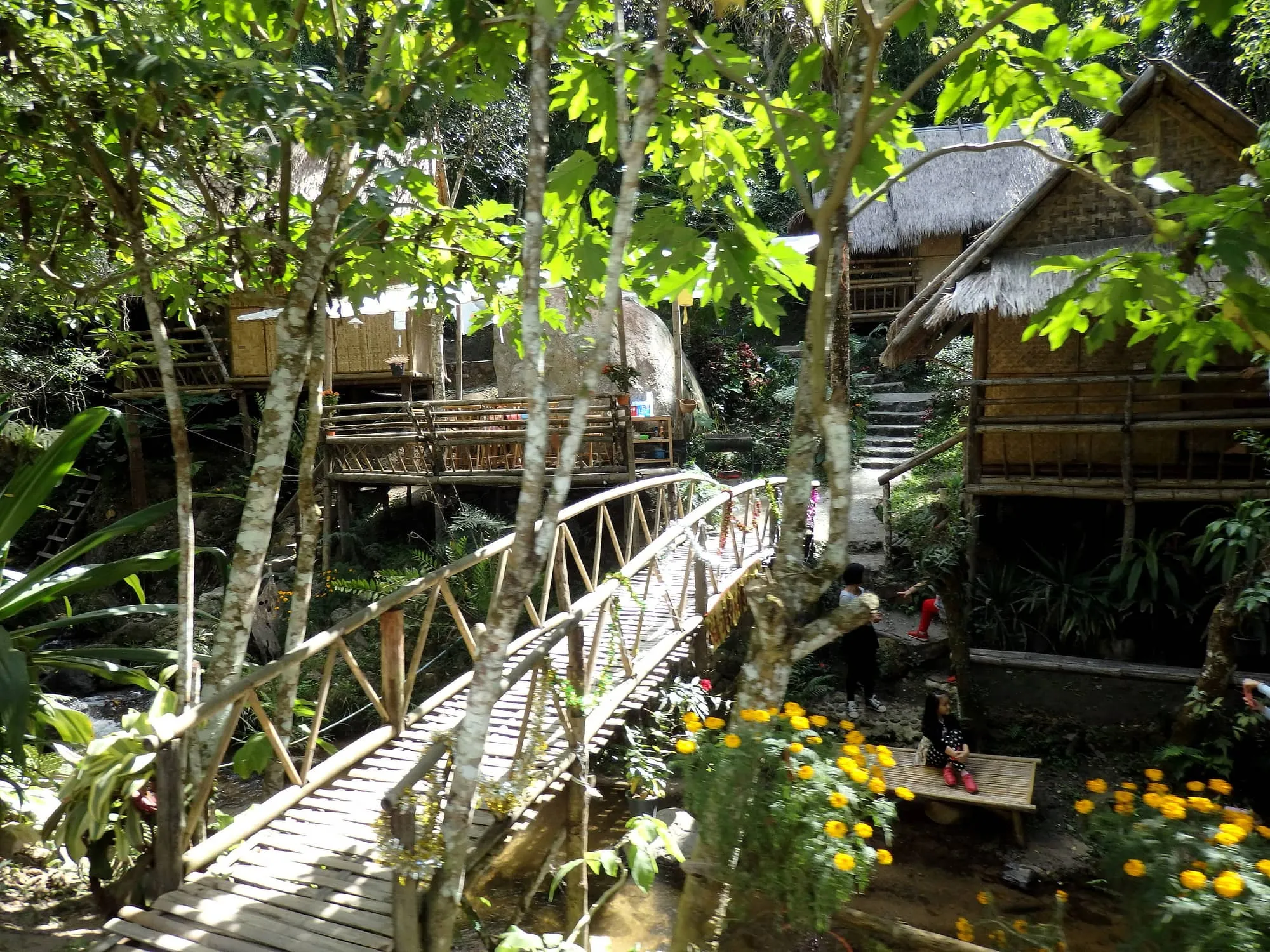 Wooden houses of Mae Kampong village on a forested hillside