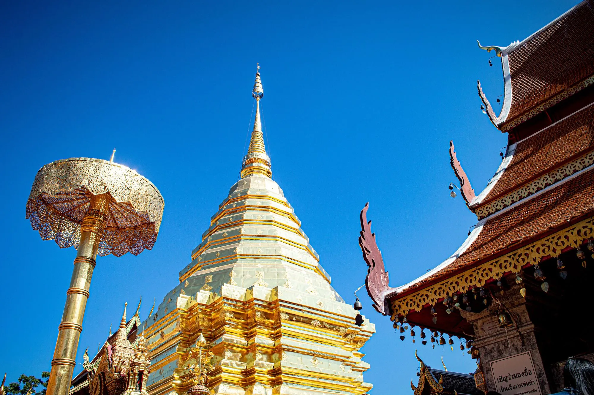 The golden chedi of Wat Phra That Doi Suthep gleaming in the sun